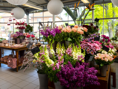Schnittblumen