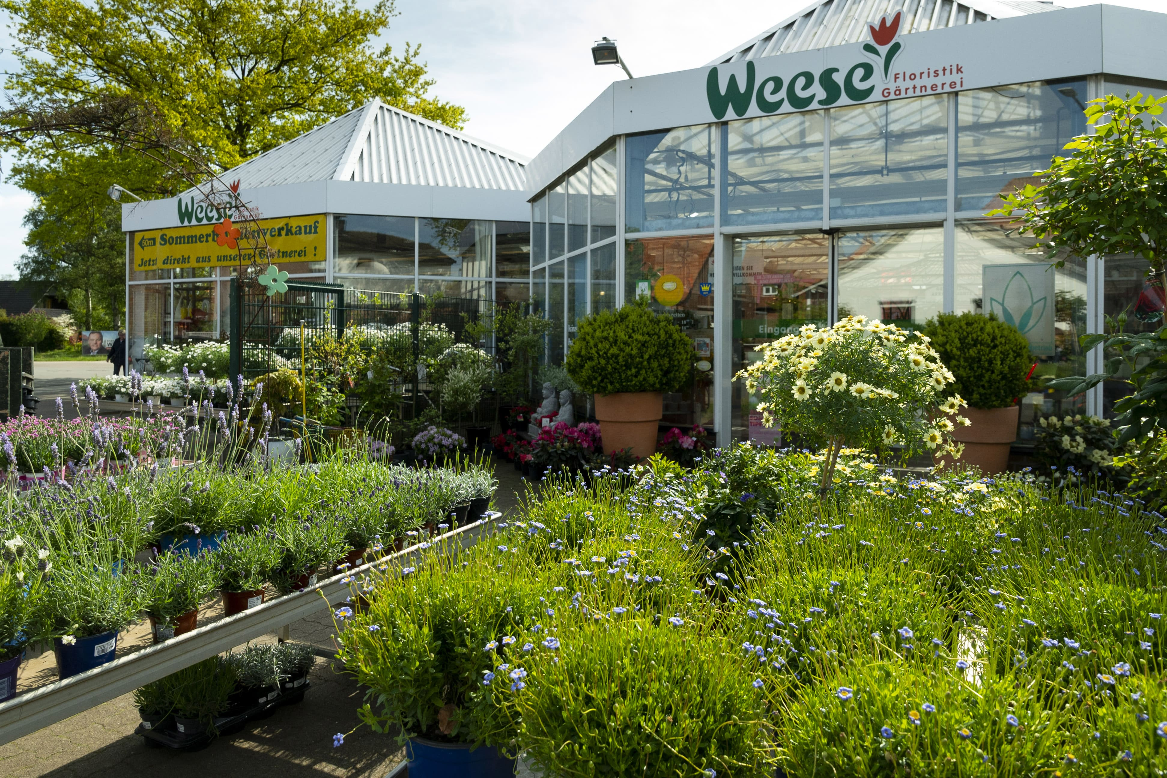 Geschäft Gartenbereich