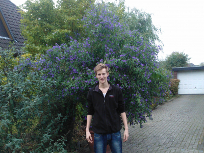 Kübelpflanzen