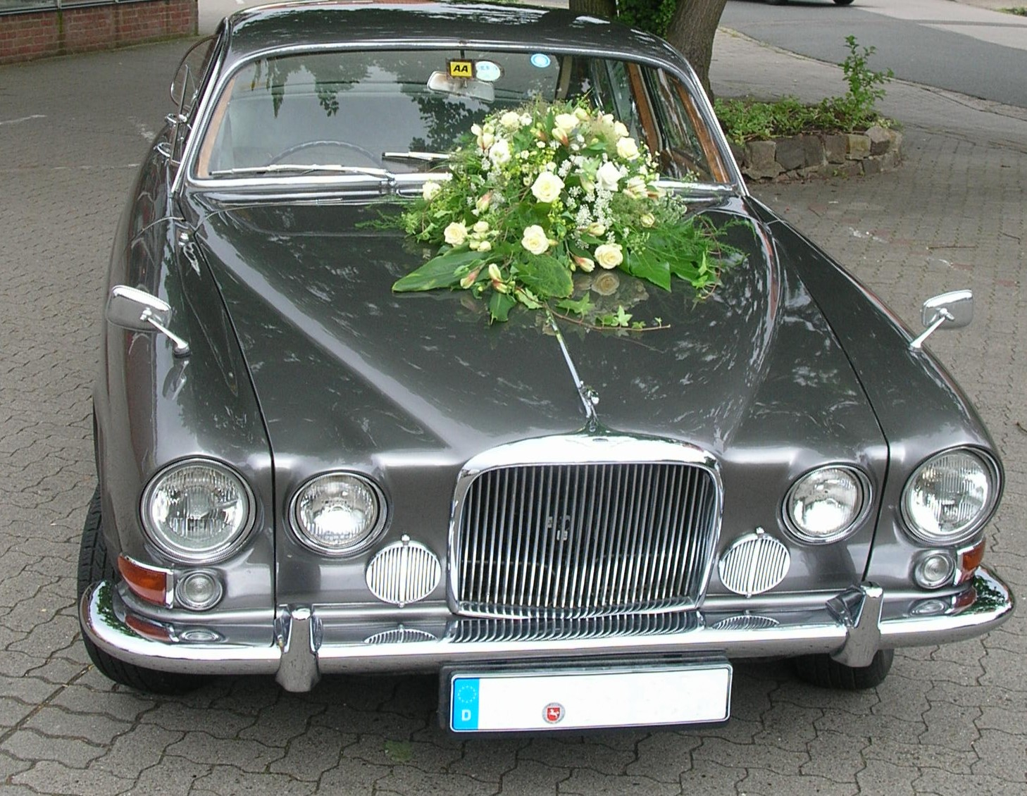 Dschungeldeko